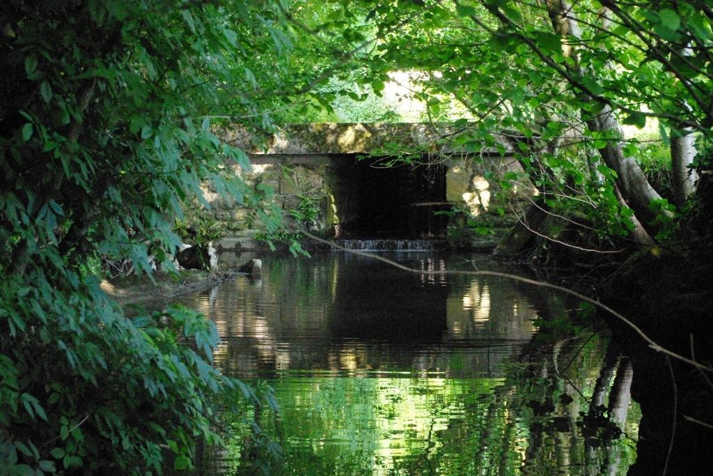 Moulin De Coupigny Villa Fontenille-Saint-Martin-d'Entraigues Bilik gambar